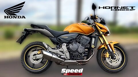 Testando Honda CB 600 F Hornet 2010 | Análise Completa | Speed Channel