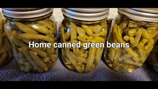 Home canned green beans #green beans