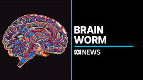 Live worm found in Australian woman's brain #bbc #woman