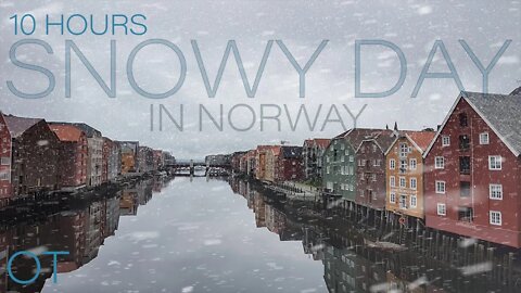 SNOWY DAY IN NORWAY| Howling wind and blowing snow for Relaxing | Studying | Sleep| Outdoor Ambience