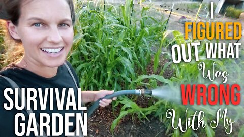 Survival Garden Problem (SOLVED!) ~ 21st Century Farm Wife ~ What We Eat In A Day