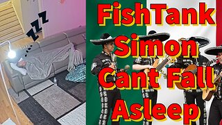 FishTank Simon Cant Fall Asleep