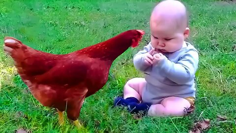 You laugh, You restart - Funniest Babies Play with Meet Animals 🐤🐤🐤 __ Cool Peachy