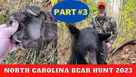 Bear hunting the dismal swamp with Doug Temple | Part 3