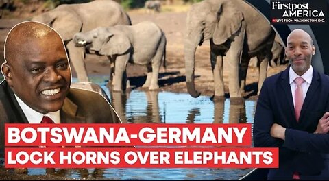 Botswana Threatens to Send 20,000 Elephants to Germany | Firstpost America