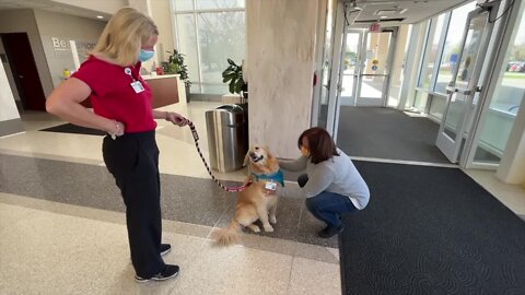 Emotional reunion at Beaumont highlights importance of therapy dogs