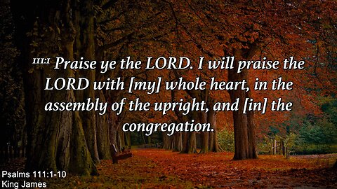 Wednesday Nov. 15th - Praise Ye The Lord