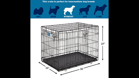 Review MidWest Life-Stages 36-by-24-by-27-Inch Triple-Door Folding Metal Dog Crate