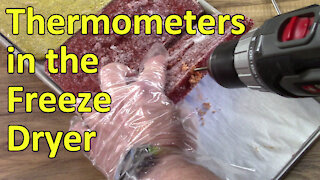 Thermometers in the Freeze Dryer