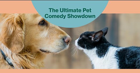 Whiskers vs Wagging Tails The Comedy Clash of Pets