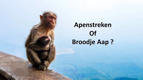 Apenstreken of broodje aap? | Pierre Capel (NL)