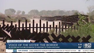 Voice of the Voter: The Border