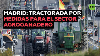 Una gran tractorada toma Madrid por el sector agroganadero en España