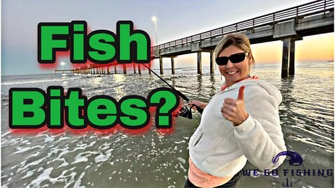 Will the fish still bite in Texas? Texas Beach fishing