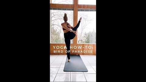 YOGA How-To_ Bird of Paradise Pose __ #shorts