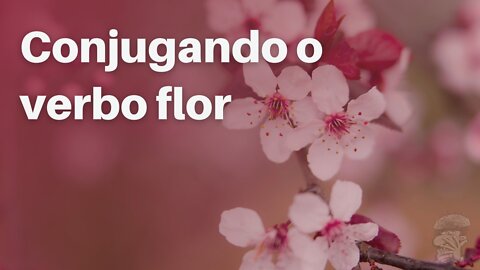 Conjugando o verbo flor