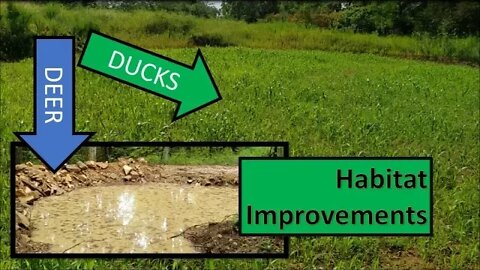 Duck pond update & Deep woods deer watering hole trenching system!