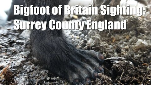 Bigfoot of Britain Sighting: Box Hill Ape