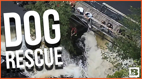 DOG RESCUE! Massachusetts Firefighters Rescue "Maggie" Stuck on Rapids and Rocks