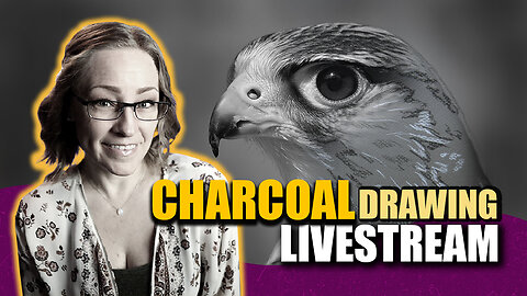 Charcoal Kestrel FULL real time drawing lesson! Draw with me!
