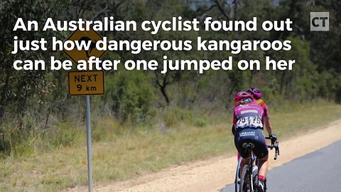 Cyclist Caught Off-guard, Eats Pavement After Kangaroo Comes Out Of Nowhere