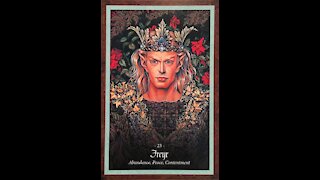 Leo Oracle Reading Abundance Contentment Warning