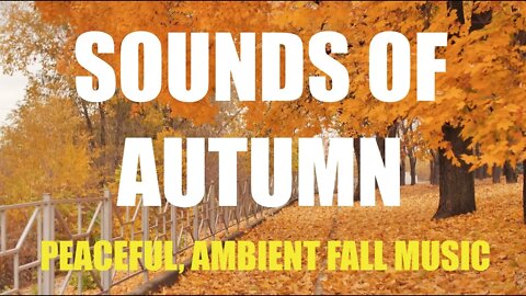 Autumn Sounds - Peaceful, Ambient, Beautiful Scenes of Fall