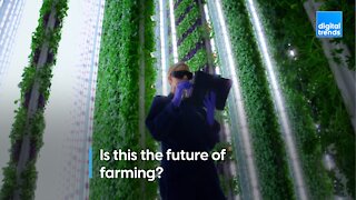 Is this the future of farming?