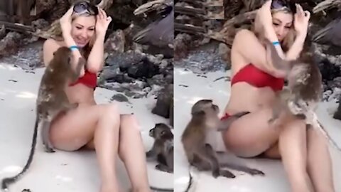 NAUGHTYDOGZ-Funny Monkey Videos with cute girls🎈✨😂