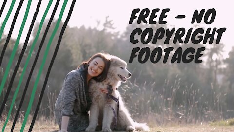 No Copyright Dog Footage | Royalty Free Pet Dogs | Video Production