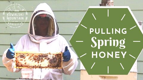 Pulling Spring Honey | Raw Honey Harvest Straight from the Hive