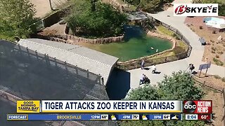 A zookeeper suffered 'lacerations and punctures' in a tiger attack at the zoo in Topeka, Kansas
