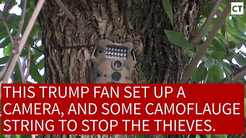 Trump Supporter Booby-Traps Trump Sign...Delivers Instant Justice To Lib Thief
