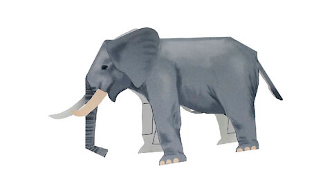 Paper elephant/Elefante de papel