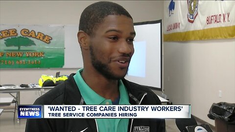 Tree care companies are hiring, with union benefits