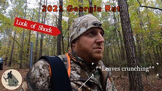 2021 Georgia Rut | Piebald Sighting & Buck Chasing Doe In My Path Walking In