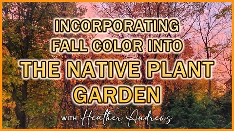 Incorporating Fall Color into the Native Plant Garden