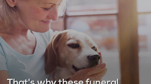 5 Dogs That Work In Funeral Homes
