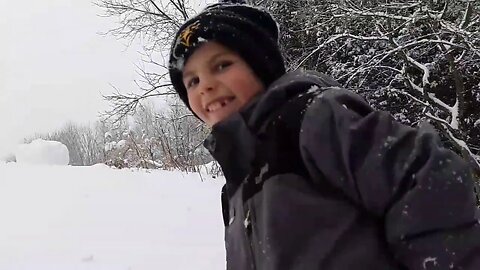 Ambience - snow, trees, and enjoying the downtime of winter in the gardens