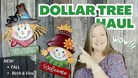 Amazing New Dollar Tree Finds Dollar Tree Haul New Fall New Birch & Vine Items Craft Supplies & More
