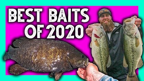 MOST VALUABLE BAITS OF 2020