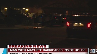 Person with machete in custody after barricade