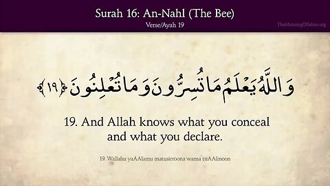 English Quran | Chapter 16 | Surah An-Nahl ( The Bee )