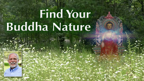 Maitreya: Find Your Buddha Nature within New Levels of Stillness
