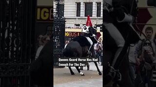 Queens Guard Horse Has Had ENOUGH For The Day #shorts #queenelizabethii #Queen #QueensGuard