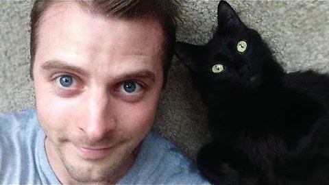 This Is A Cat's Guide To Loving A Human