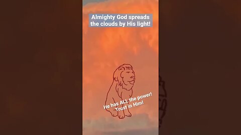 Eagle & Lion in a Golden Cloud 🦅🦁☁️🙏