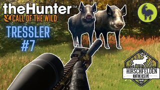 Tressler #7 Hirschfelden | theHunter: Call of the Wild (PS5 4K)