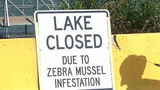 City may drain or chemically treat Lake Cunningham