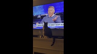 Even my cat likes the “Five”